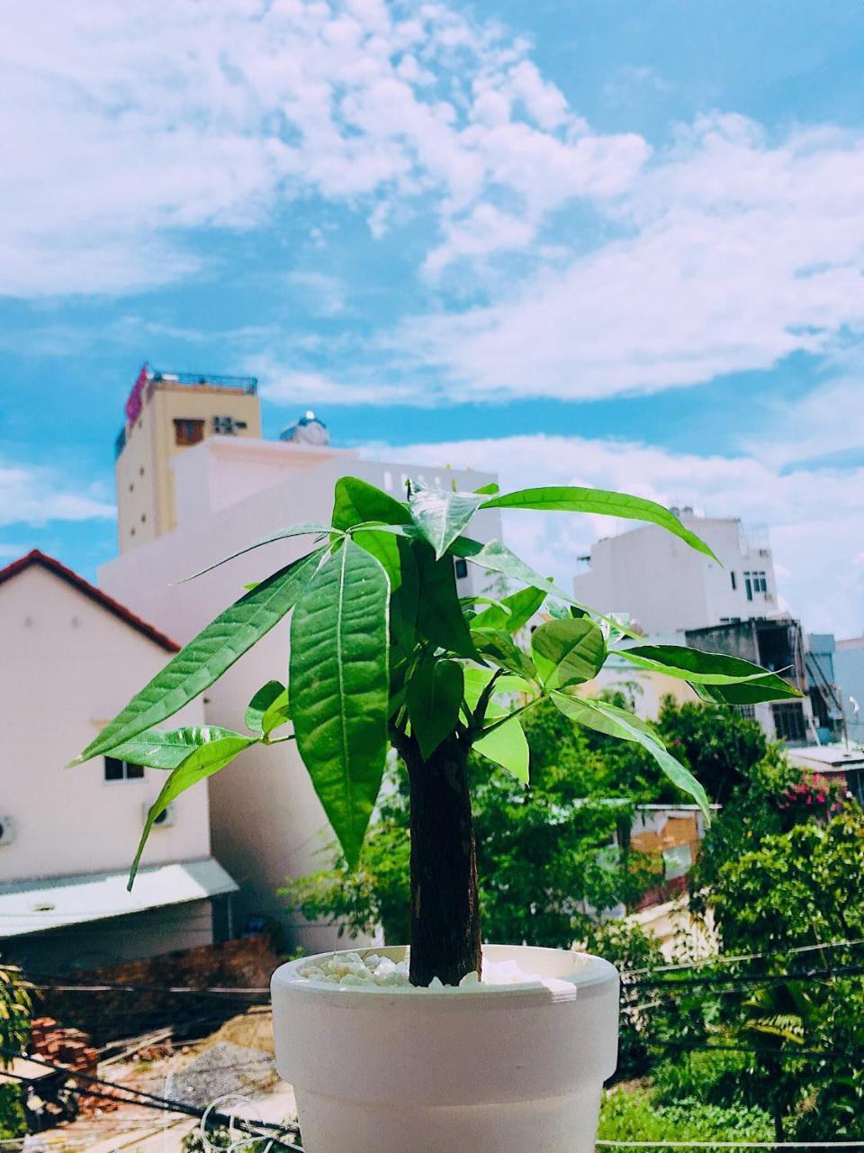 Huha Home - Da Nang Luaran gambar